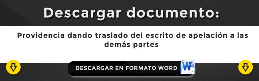  Escrito in Providencia dando traslado del escrito de apelación a las demás partesterponiendo recurso de apelación